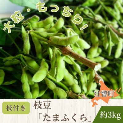 <9月中旬よりお届け>枝付き枝豆「たまふくら」約3kg SBTM007