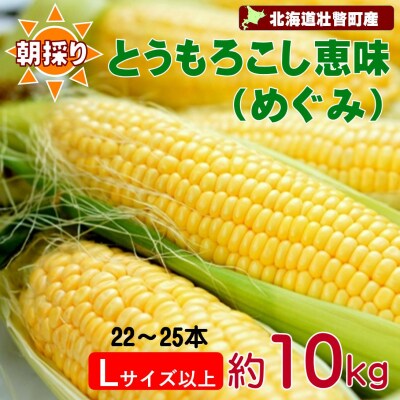 <2026年8月下旬よりお届け>【朝採り】とうもろこし恵味 約10kg(22～25本)SBTL013