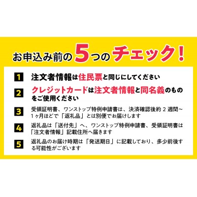 <2026年8月下旬よりお届け>【朝採り】とうもろこし恵味 約10kg(22～25本)SBTL013