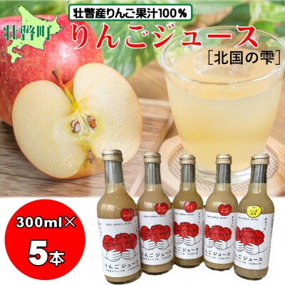 りんごジュース「北国の雫」(壮瞥町産りんご100%) 300ml×5本SBTA082