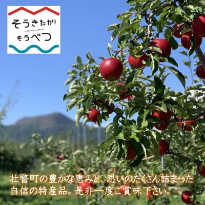 りんごジュース「北国の雫」(壮瞥町産りんご100%) 300ml×5本SBTA082