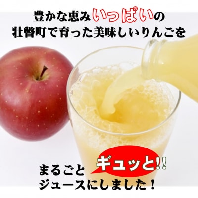 りんごジュース「北国の雫」(壮瞥町産りんご100%) 300ml×20本 SBTA083