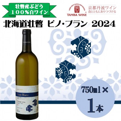 北海道壮瞥産ピノ・ブラン2024(辛口白ワイン) 750ml SBTA084