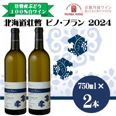 北海道壮瞥産ピノ・ブラン2024(辛口白ワイン) 750ml×2本 SBTA085