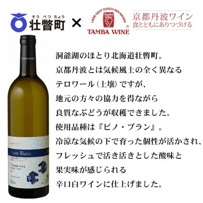 北海道壮瞥産ピノ・ブラン2024(辛口白ワイン) 750ml×2本 SBTA085