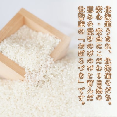 【令和7年産米】あのさんちの美味しいお米 おぼろづき 精米5kg SBTL017