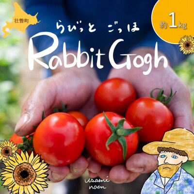 【先行予約】極旨トマトクール便 壮瞥町産　ラビットゴッホ1kg　中玉トマト SBTAJ001