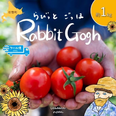 【先行予約】極旨トマトクール便 壮瞥町産　ラビットゴッホ1kg　中玉トマト SBTAJ001