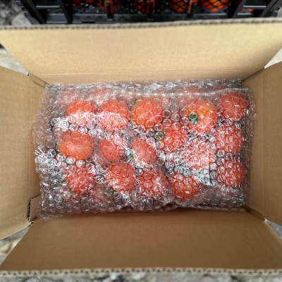 【先行予約】極旨トマトクール便 壮瞥町産　ラビットゴッホ1kg　中玉トマト SBTAJ001