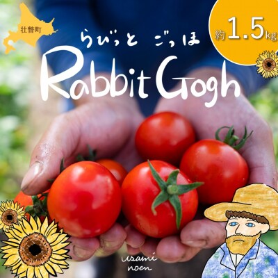 【先行予約】極旨トマトクール便 壮瞥町産　ラビットゴッホ1.5kg　中玉トマト　SBTAJ002
