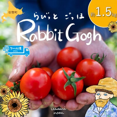 【先行予約】極旨トマトクール便 壮瞥町産　ラビットゴッホ1.5kg　中玉トマト　SBTAJ002