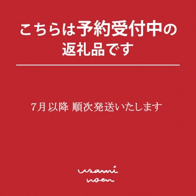 【先行予約】極旨トマトクール便 壮瞥町産　ラビットゴッホ1.5kg　中玉トマト　SBTAJ002
