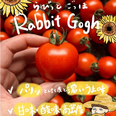 北海道壮瞥町産　ラビットゴッホ2kg　中玉トマト　SBTAJ003