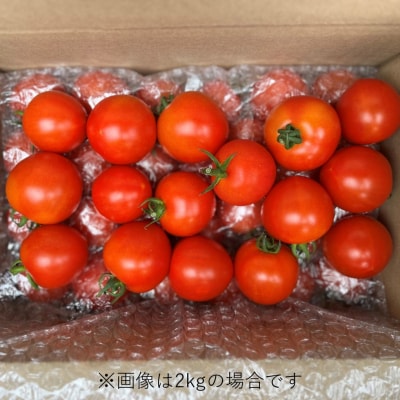 北海道壮瞥町産　ラビットゴッホ2kg　中玉トマト　SBTAJ003