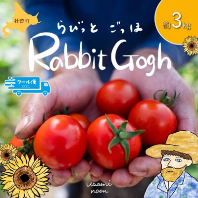 【先行予約】極旨トマトクール便 壮瞥町産　ラビットゴッホ3kg　中玉トマト　SBTAJ004