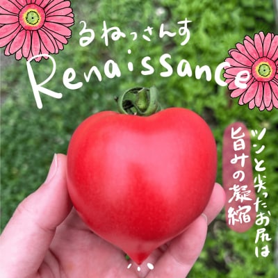 北海道壮瞥町産　ルネッサンス3kg　トマト　SBTAJ009
