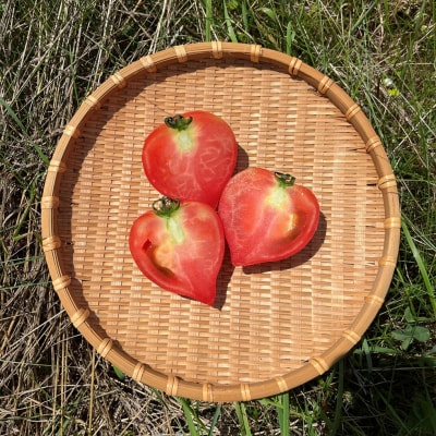 北海道壮瞥町産　ルネッサンス3kg　トマト　SBTAJ009