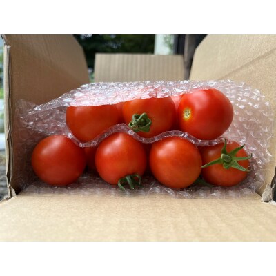北海道壮瞥町産 ルネッサンス3kg トマト SBTAJ009 | 北海道壮瞥