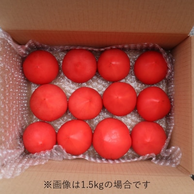 北海道壮瞥町産　ルネッサンス3kg　トマト　SBTAJ009
