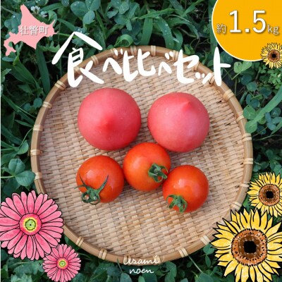 北海道壮瞥町産　トマト食べ比べ2種セット1.5kg(ラビットゴッホ&ルネッサンス) SBTAJ012
