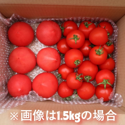 北海道壮瞥町産　トマト食べ比べ2種セット4kg(ラビットゴッホ&ルネッサンス) SBTAJ015