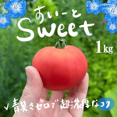 【先行予約】極旨トマトクール便 壮瞥町産　スイート1kg　中玉トマト　SBTAJ016