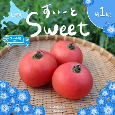 【先行予約】極旨トマトクール便 壮瞥町産　スイート1kg　中玉トマト　SBTAJ016