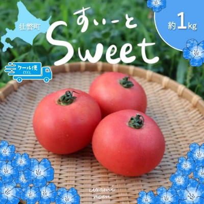 極旨トマトクール便 壮瞥町産　スイート1kg　中玉トマト　SBTAJ016