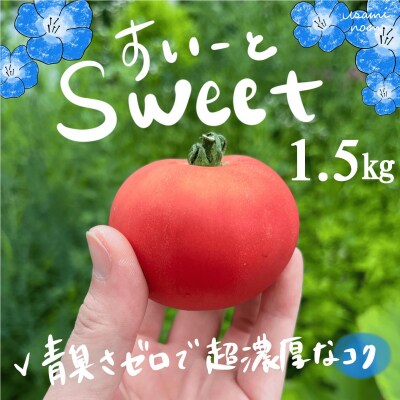 【先行予約】極旨トマトクール便 壮瞥町産　スイート1.5kg 中玉トマト　SBTAJ017