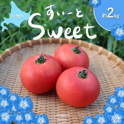 【先行予約】極旨トマトクール便 壮瞥町産　スイート2kg　中玉トマト　SBTAJ018