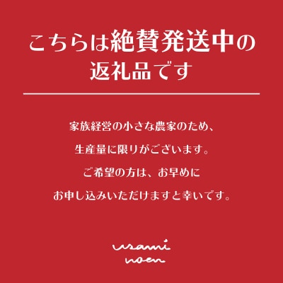極旨トマトクール便 壮瞥町産　スイート2kg　中玉トマト　SBTAJ018