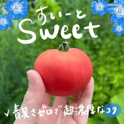 壮瞥町産トマト食べ比べ3種2kg(ラビットゴッホ&ルネッサンス&スイート) SBTAJ023