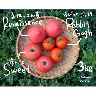 壮瞥町産トマト食べ比べ3種3kg(ラビットゴッホ&ルネッサンス&スイート) SBTAJ024