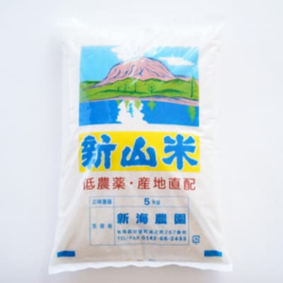 【令和7年産】新山米(ななつぼし)5kg×2袋　10kg SBTC007