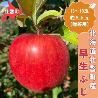 ＜10月中旬頃よりお届け＞壮瞥産りんご早生ふじ約5kg(13～18玉)【贈答用】SBTK014