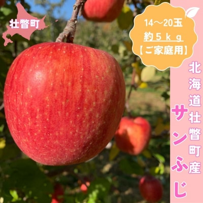 ＜11月下旬頃よりお届け＞壮瞥産りんごサンふじ約5kg(14～20玉)【ご家庭用】SBTK015