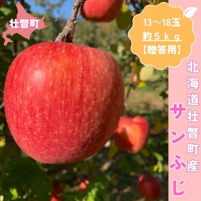 <11月下旬頃よりお届け>壮瞥産りんごサンふじ約5kg(13～18玉)【贈答用】SBTK016