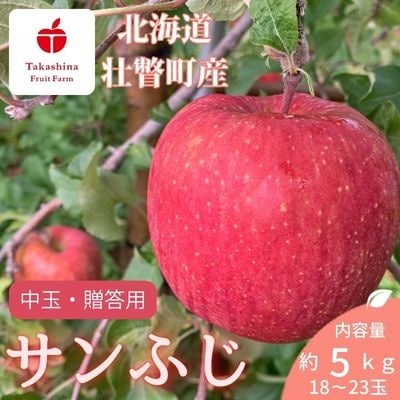 <2月下旬頃よりお届け>壮瞥産りんごサンふじ 中玉約5kg(18～23玉)【贈答用】SBTK016