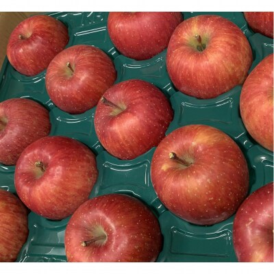 <2月下旬頃よりお届け>壮瞥産りんごサンふじ 中玉約5kg(18～23玉)【贈答用】SBTK016