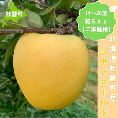<11月下旬頃よりお届け>りんご シナノゴールド約5kg(14～20玉)【ご家庭用】SBTK017