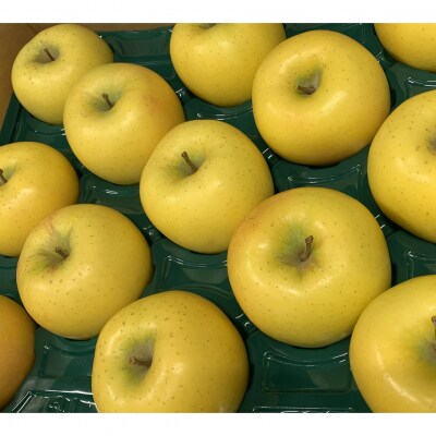 <11月下旬頃よりお届け>りんご シナノゴールド約5kg(14～20玉)【ご家庭用】SBTK017