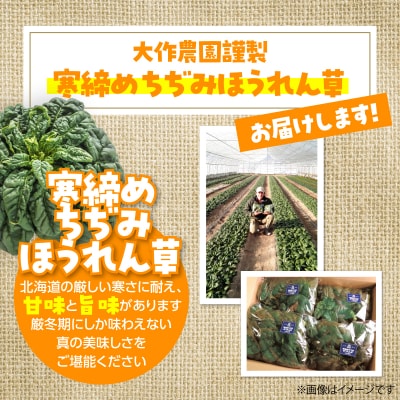 <2026年12月上旬よりお届け>大作農園の寒締めちぢみほうれん草約1.2kg SBTR001