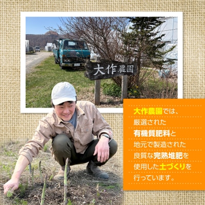 <2026年12月上旬よりお届け>大作農園の寒締めちぢみほうれん草約1.2kg SBTR001