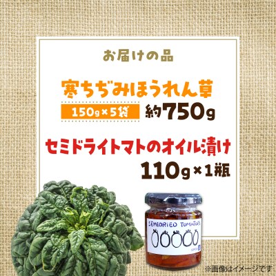 <2026年12月上旬よりお届け>寒締めちぢみほうれん草とセミドライトマトオイル漬けSBTR007