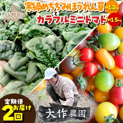 <12月・8月お届け>寒締めちぢみほうれん草・カラフルミニトマト2回お届け　SBTR006