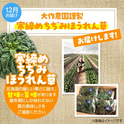 <12月・8月お届け>寒締めちぢみほうれん草・カラフルミニトマト2回お届け　SBTR006