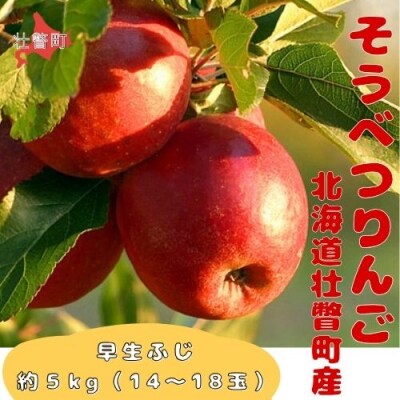 ファームアグリエイトのりんご「早生ふじ」 約5kg(14～18玉)SBTB012