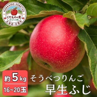 ファームアグリエイトのりんご「早生ふじ」 約5kg(16～20玉)SBTB012
