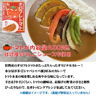 北海道壮瞥産　お米とレトルトカレー3種セット SBTA047