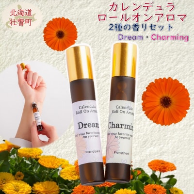 Jf[IA} 2̍Zbg(e1)SBTX016